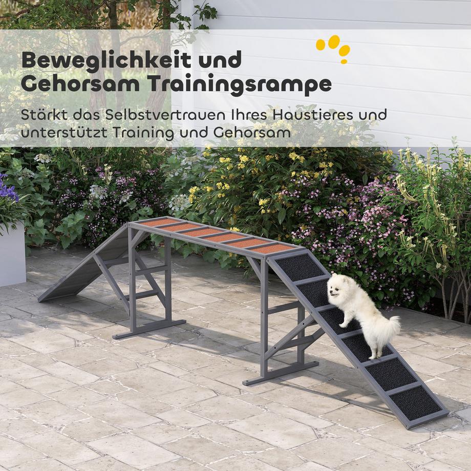 PawHut  Hunde Agility Steg 