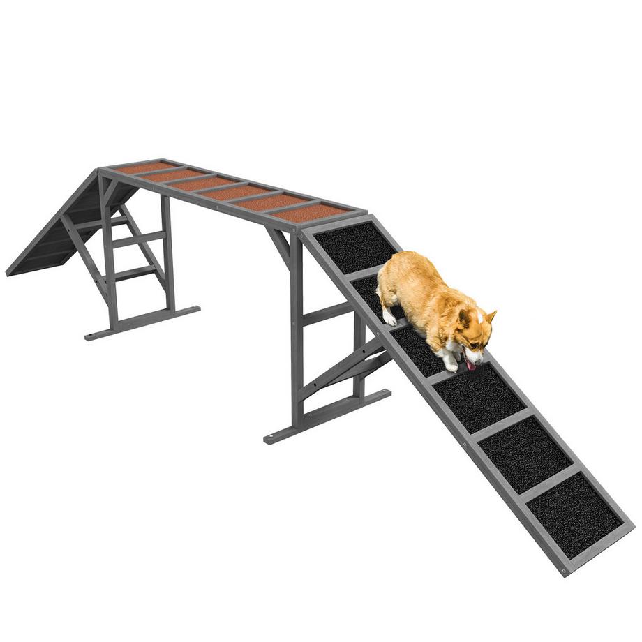 Hunde Agility Steg