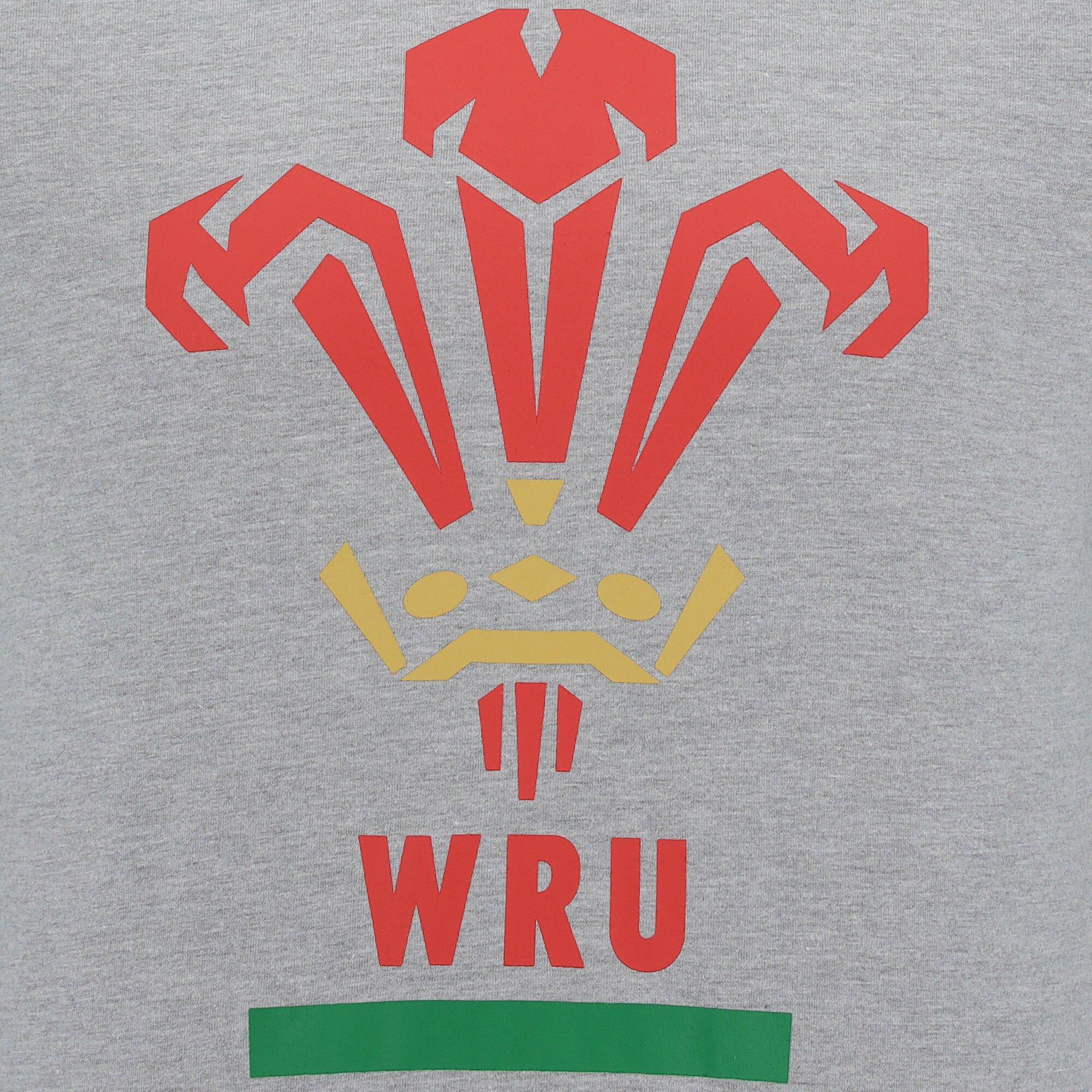 macron  T-shirt coton Pays de Galles Rugby XV 2020/21 