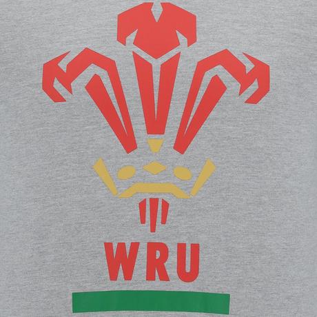 macron  T-shirt Cotone Pays de Galles Rugby XV 2020/21 