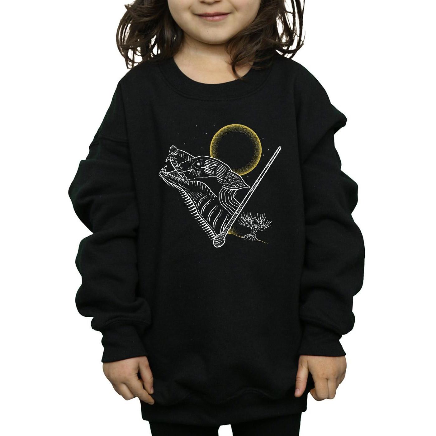 Harry Potter  Sweatshirt 