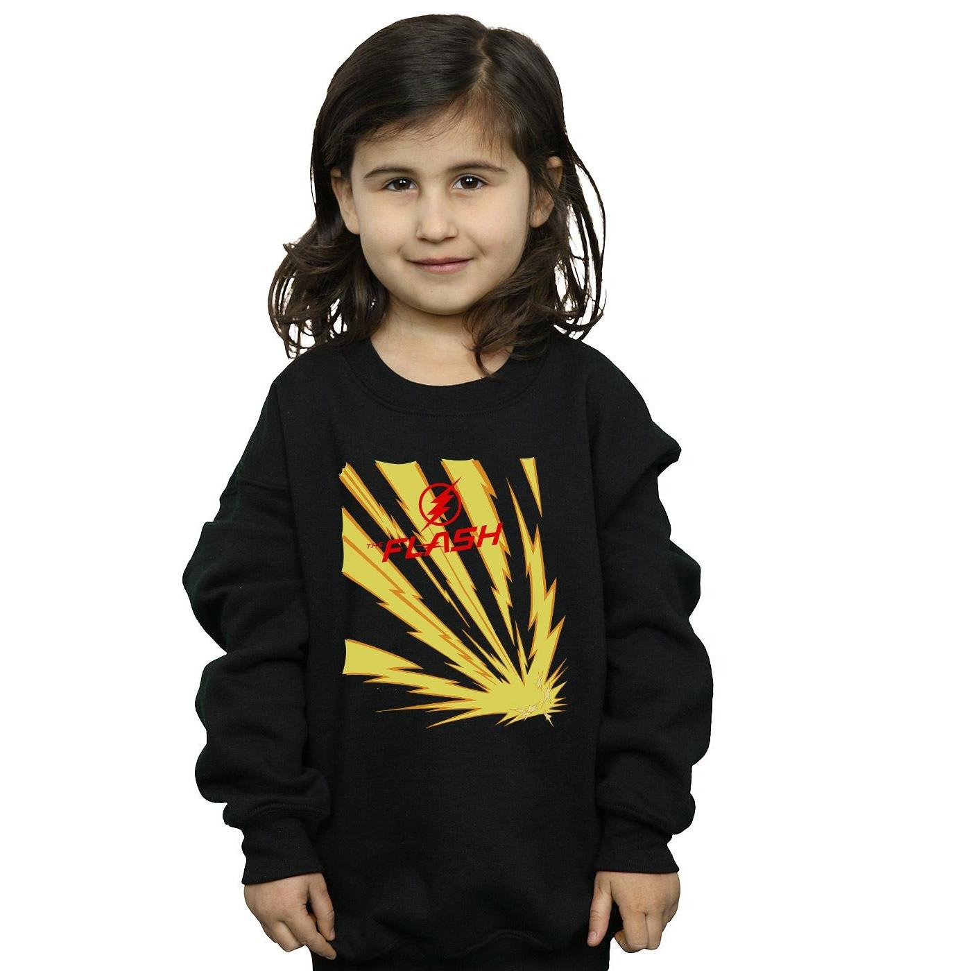 DC COMICS  Sweatshirt 