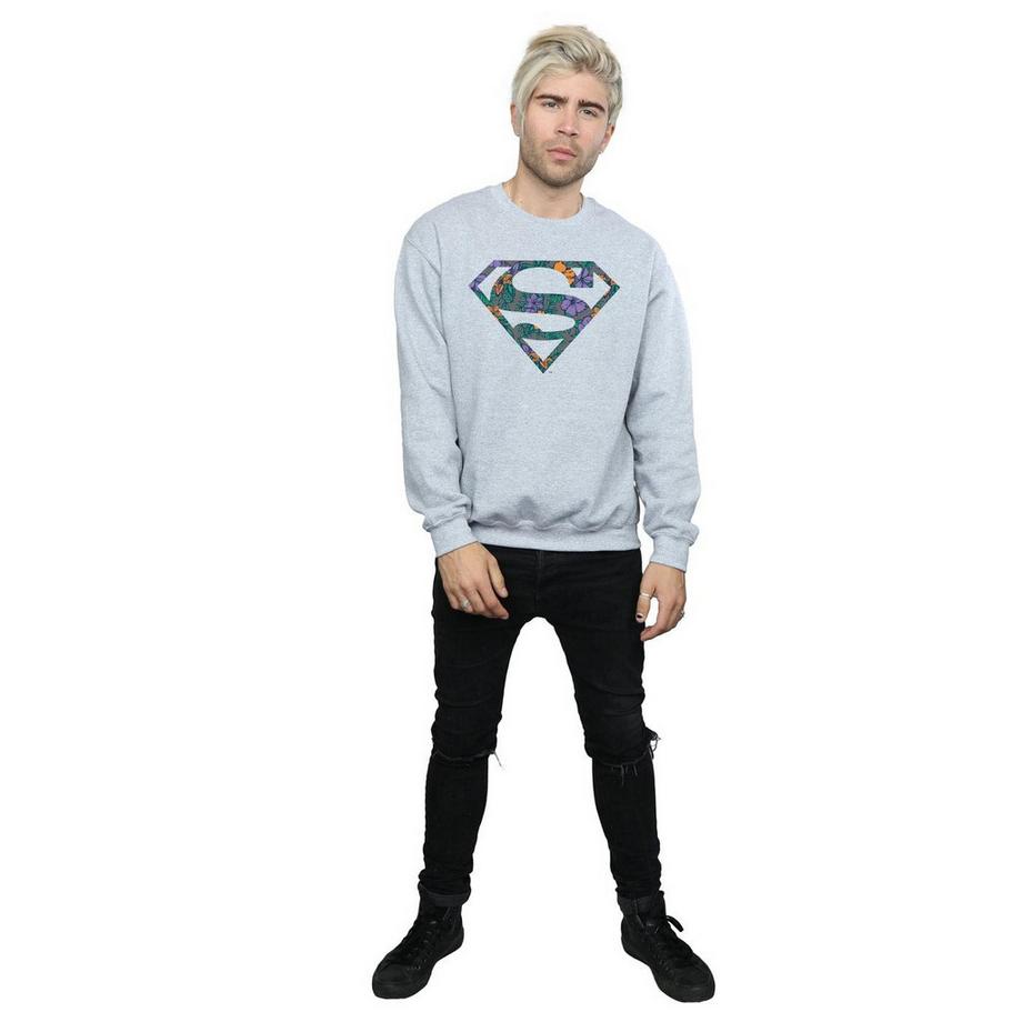 DC COMICS Superman Floral Logo Sweatshirt Col Rond  