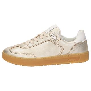 Sioux  Sneaker Tedroso-DA-705 