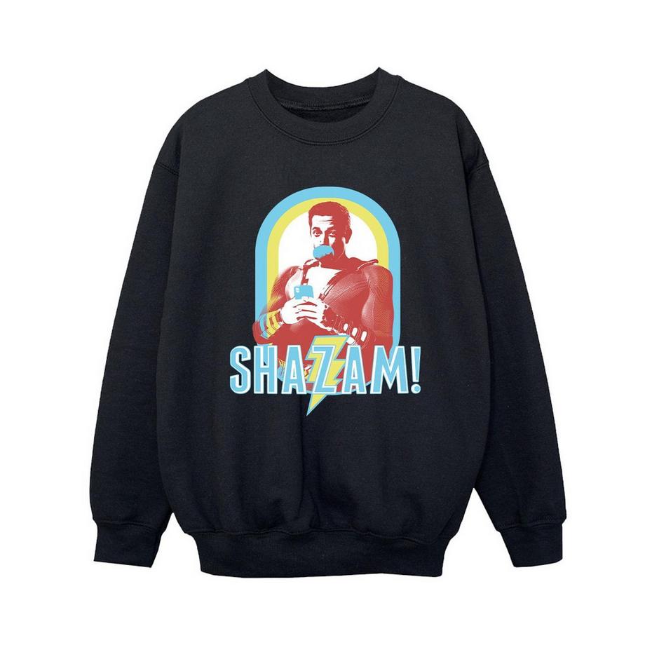 DC COMICS  Sweatshirt 