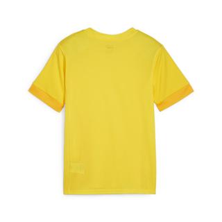 PUMA  maglia da allenamento per bambini teamgoal 