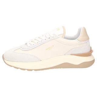 Sioux  Sneaker Apollo-D-001 