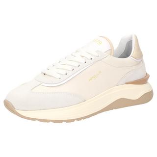 Sioux  Sneaker Apollo-D-001 