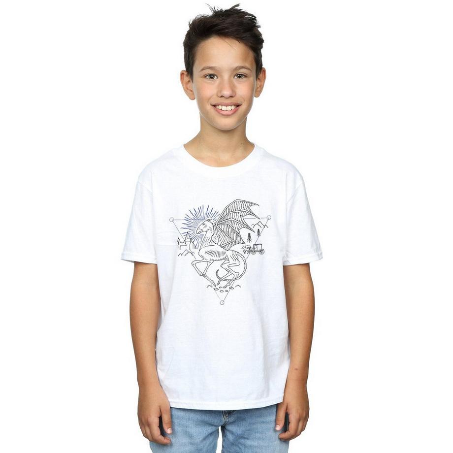 Harry Potter  TShirt 