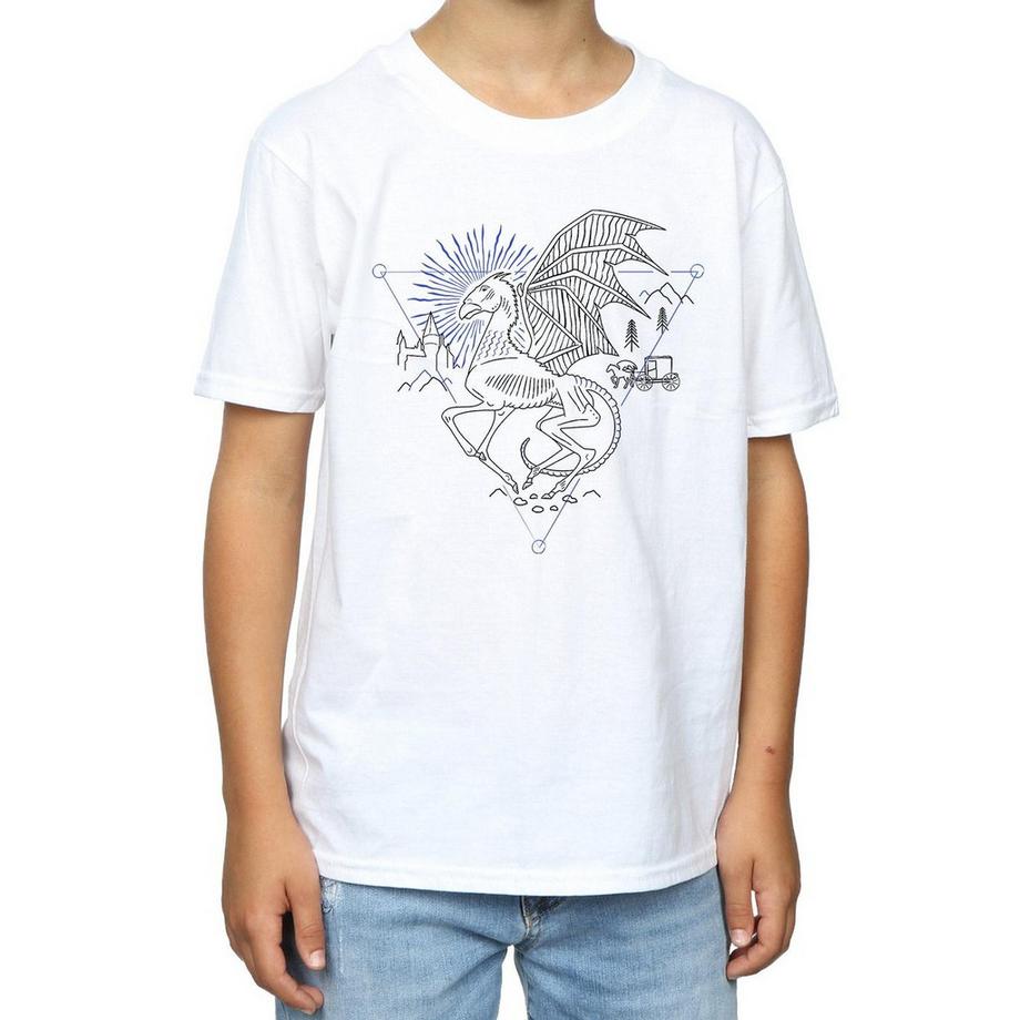 Harry Potter  TShirt 