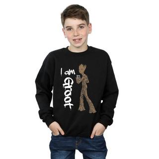 MARVEL  Avengers Infinity War Graffiti Groot Sweatshirt 