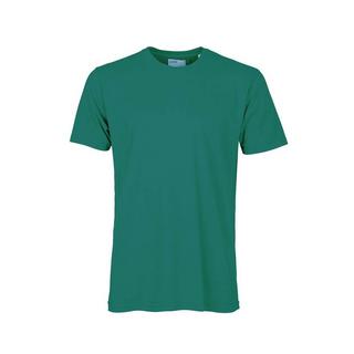 Colorful Standard  T-Shirt Classic Organic Pine Green 