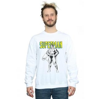 DC COMICS  Sweatshirt 