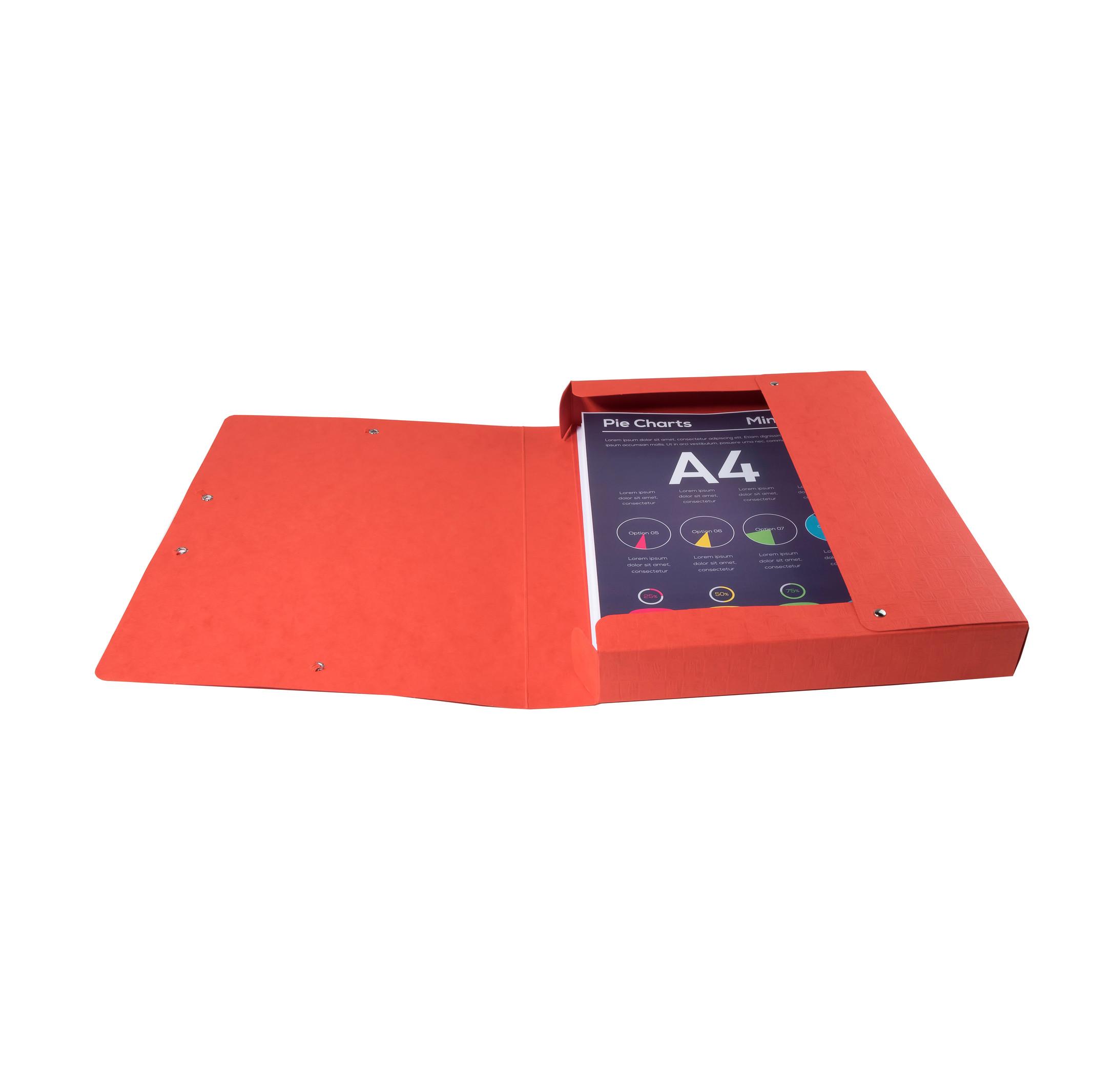 Exacompta Archivboxen Scotten, Rücken 40mm mit Etikett, aus Colorspan-Karton 600g/qm, DIN A4 - x 10  