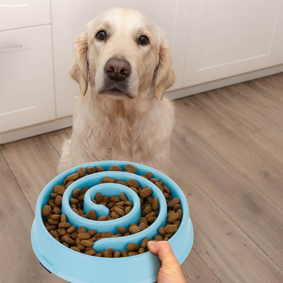 B2X  Anti-Schleuder-Schüssel 600 ml 