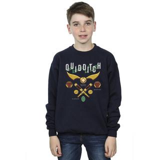 Harry Potter  Quidditch Bludgers Quaffles Sweatshirt 