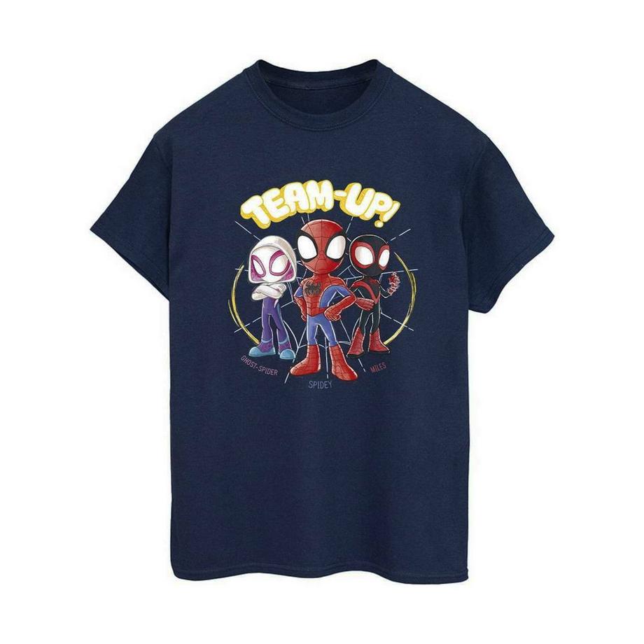 T-ShirtSpidey And His Amazing Friends