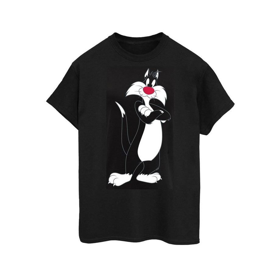 LOONEY TUNES Sylvester the Cat T-Shirt Imprimé  
