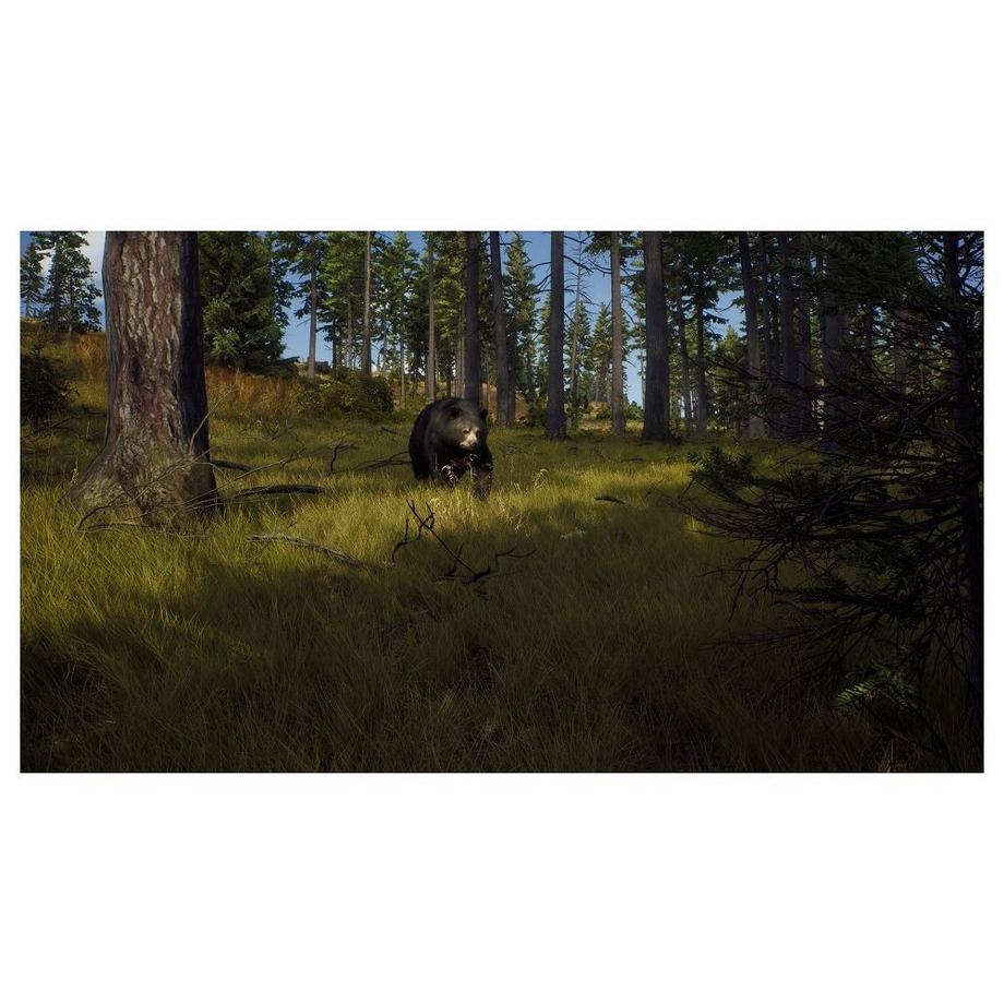 THQ  Way of the Hunter - Hunting Season One 