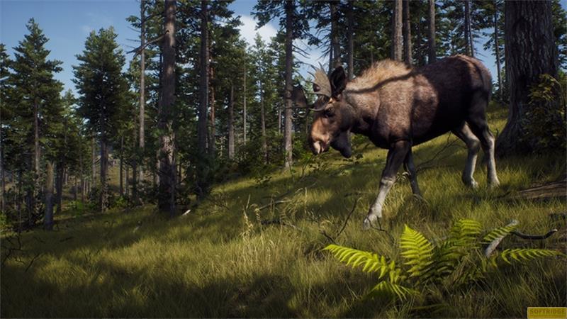 THQ  Way of the Hunter - Hunting Season One 