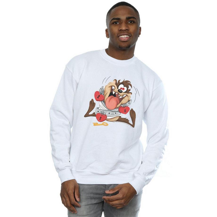 LOONEY TUNES Valentine's Day Madly In Love Sweatshirt  