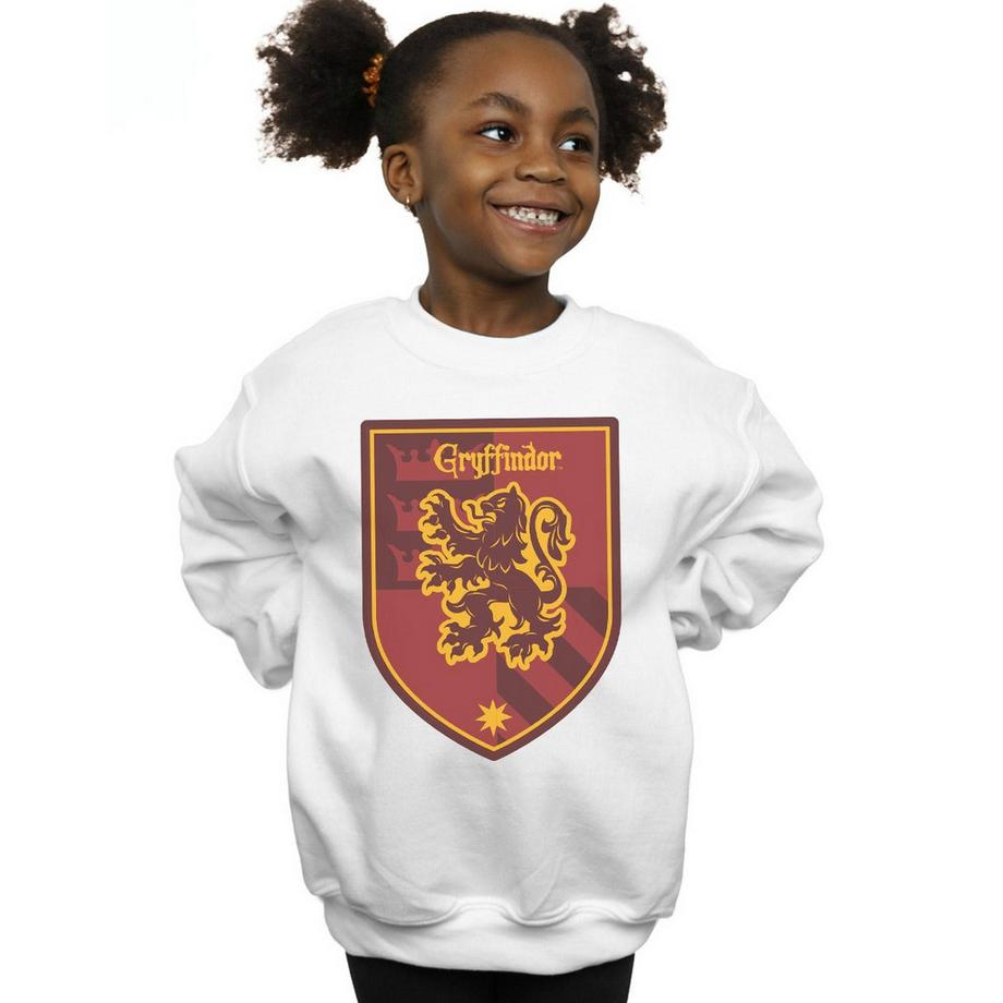 Harry Potter  Sweat GRYFFINDOR 
