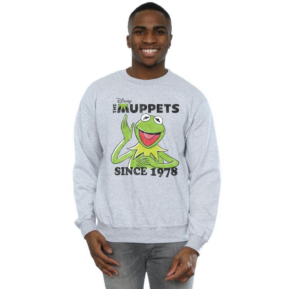 Disney The Muppets Since 1978 Felpa Slim Fit  