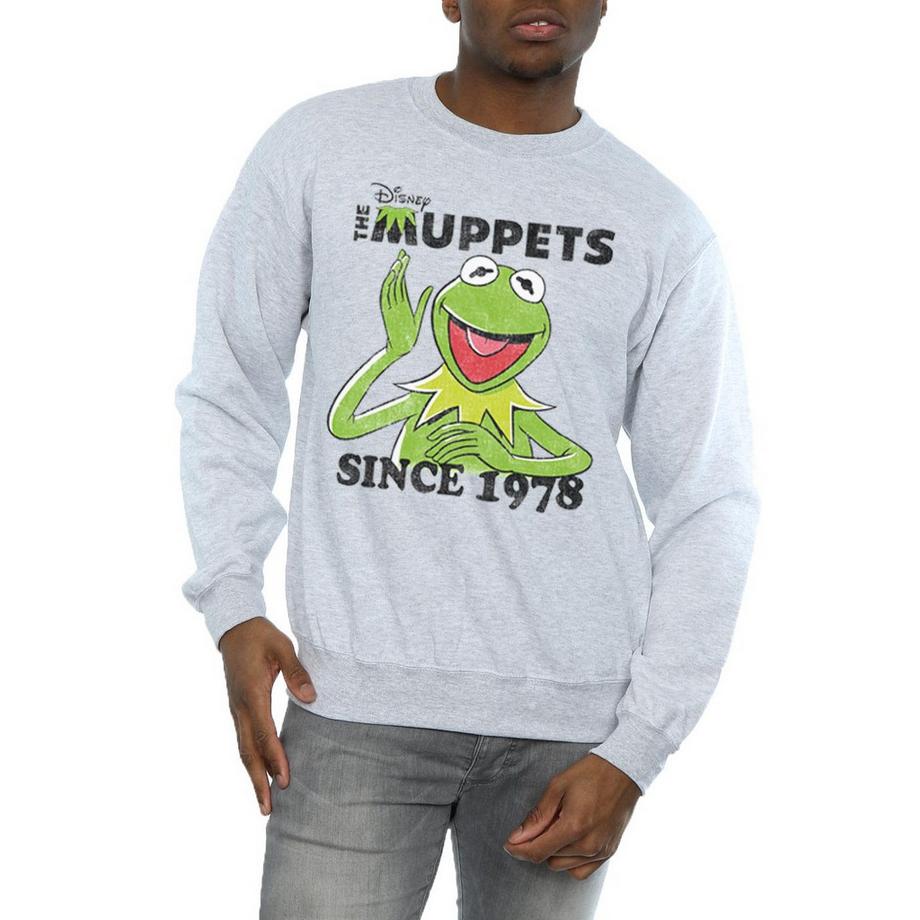 Disney The Muppets Since 1978 Felpa Slim Fit  