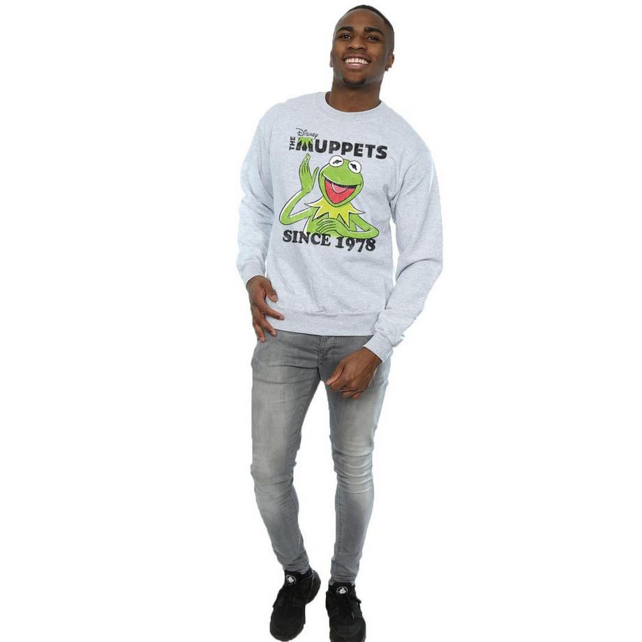 Disney The Muppets Since 1978 Felpa Slim Fit  