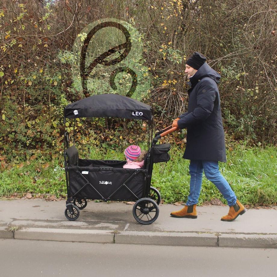 FableKids  Bollerwagen LEO X2Plus mit Dach faltbarer Transportwagen 