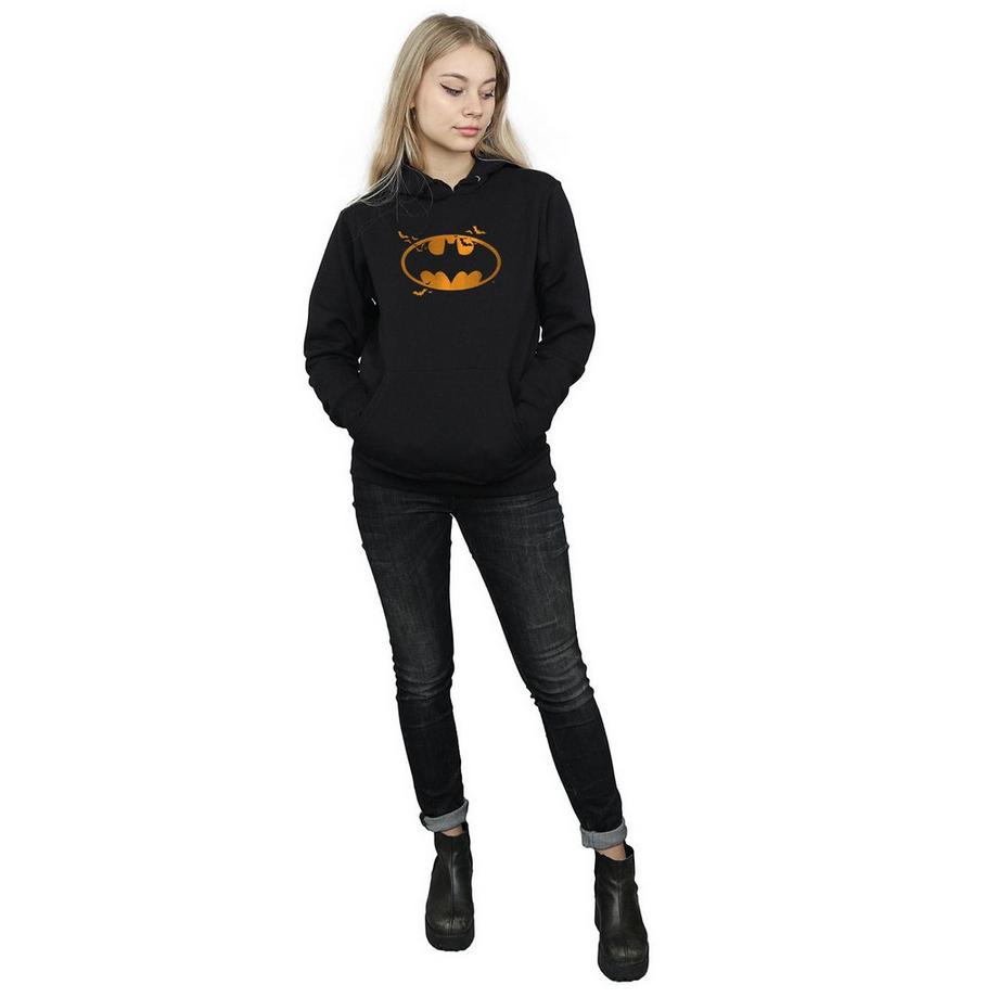 DC COMICS Batman Halloween Logo Felpa con Cappuccio  