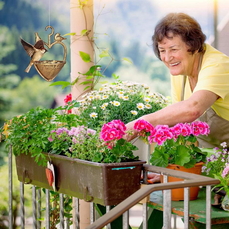 B2X  Bain d'oiseaux suspendu antique 