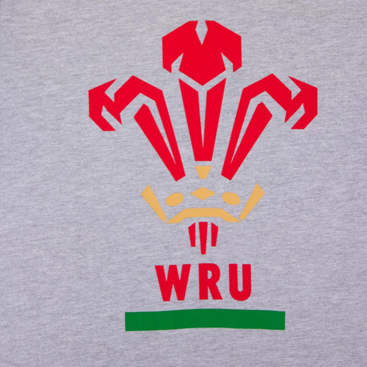 macron Wales Rugby XV T-Shirt  