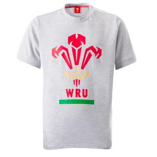 macron Wales Rugby XV T-Shirt  
