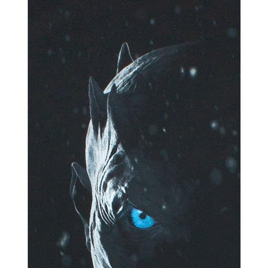 Game of Thrones Game of Thrones Night King Grafikdruck T-Shirt  