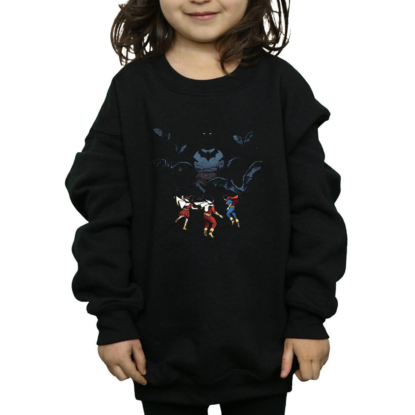 DC COMICS  Sweatshirt 