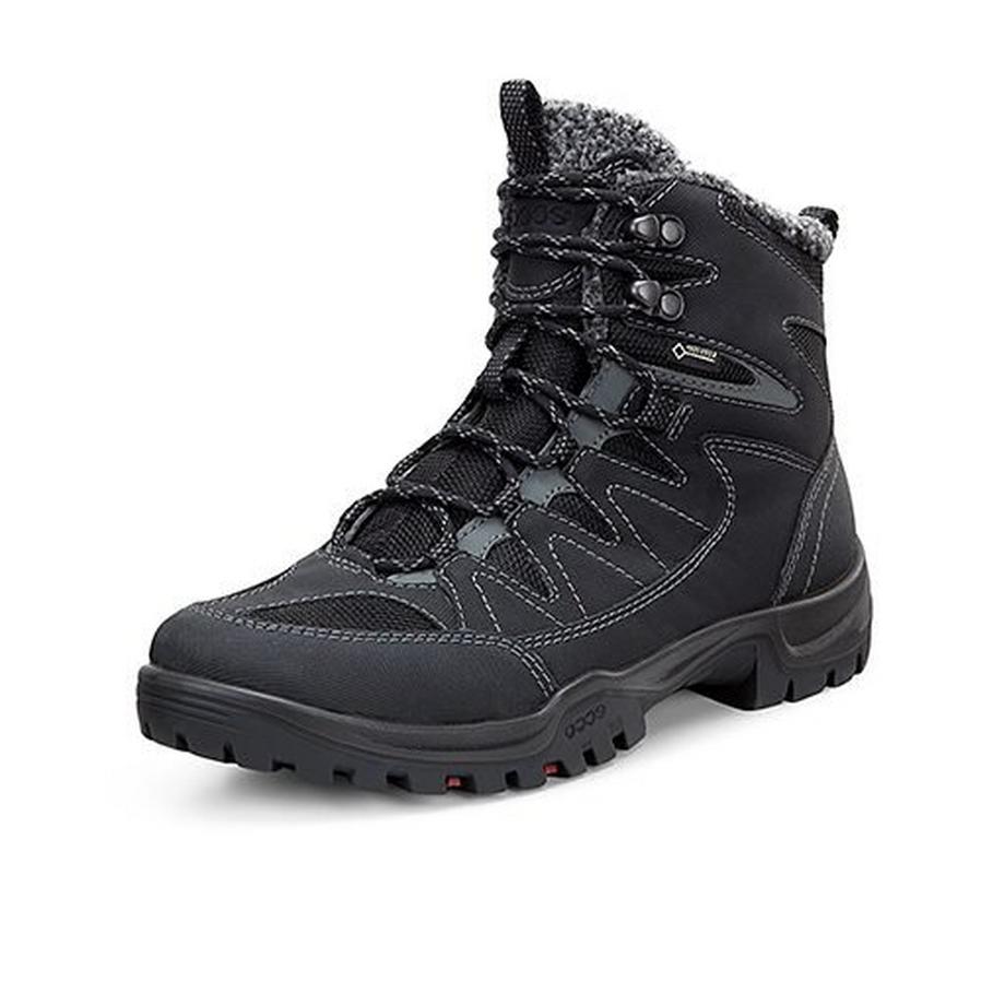 ecco Sicherheitsschuh Xpedition III Black  