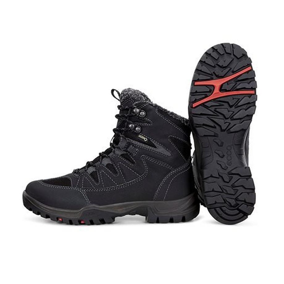 ecco Sicherheitsschuh Xpedition III Black  