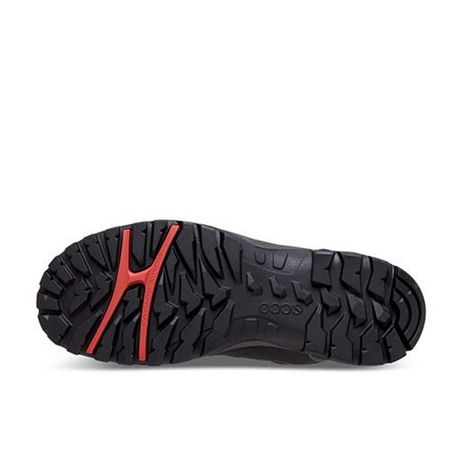 ecco Sicherheitsschuh Xpedition III Black  