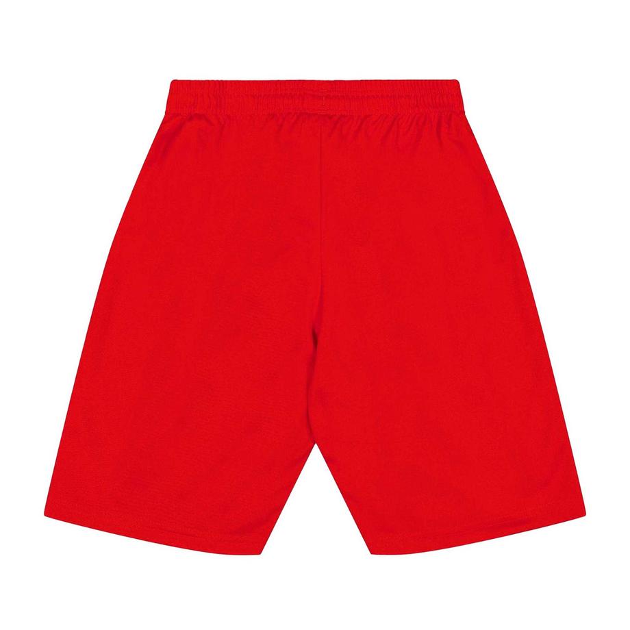PUMA  Short Team 