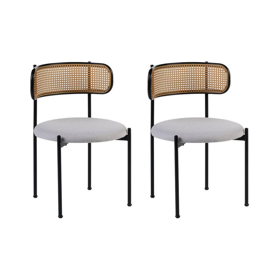 Lot de 2 chaises de salle à manger en Métal Rétro ANDOVER