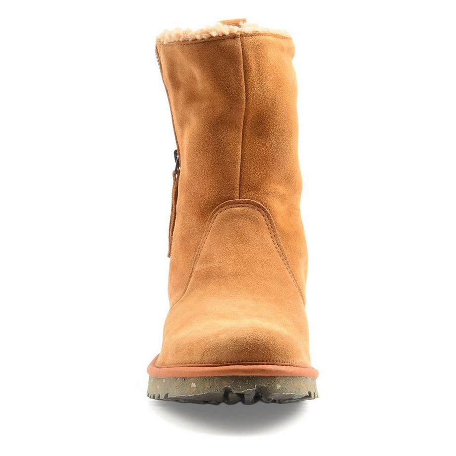 El Naturalista  N5633 FELSEN-39 