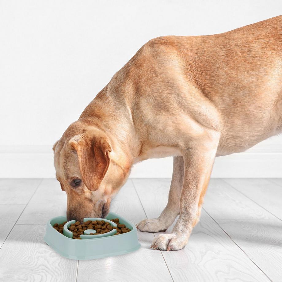 B2X  Anti-Schlingschüssel 800 ml 