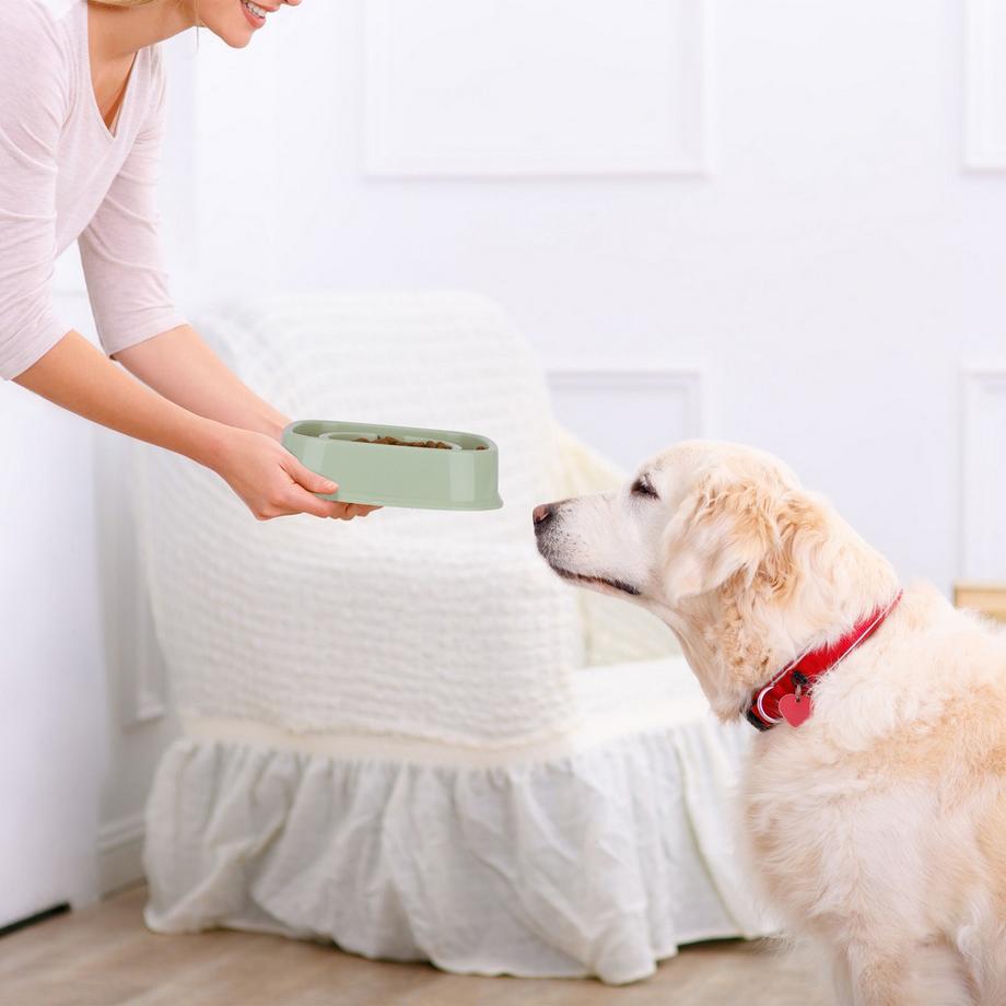 B2X  Anti-Schlingschüssel 800 ml 