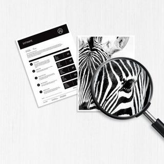 HEWLETT PACKARD  305 Dreifarbig - CMY 