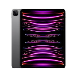 Apple  Apple iPad Pro 12,9" Puce Apple M2 256Go Gris Sidéral Wifi Cellular Fin 2022 