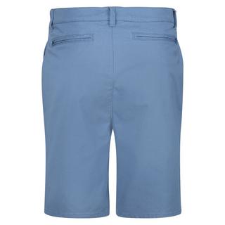 Regatta Sabden Chino Shorts  