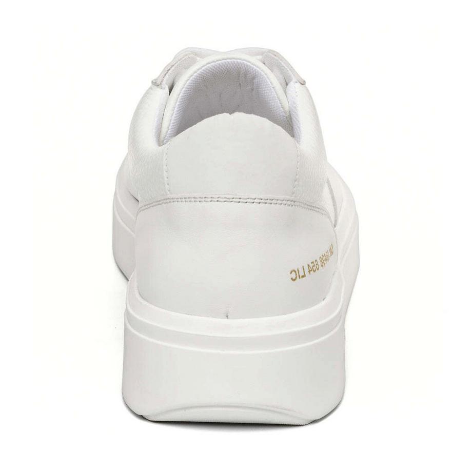 STEVE MADDEN  sneakers flynn 
