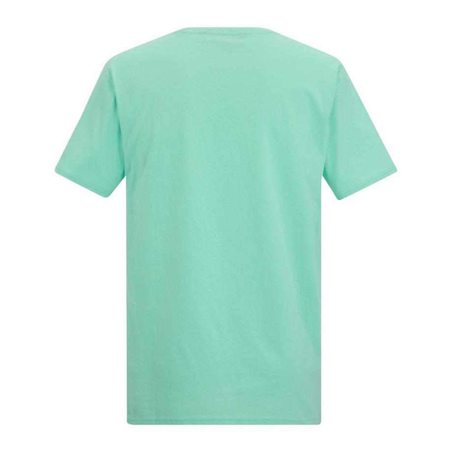Regatta  Cline Ix T-Shirt 