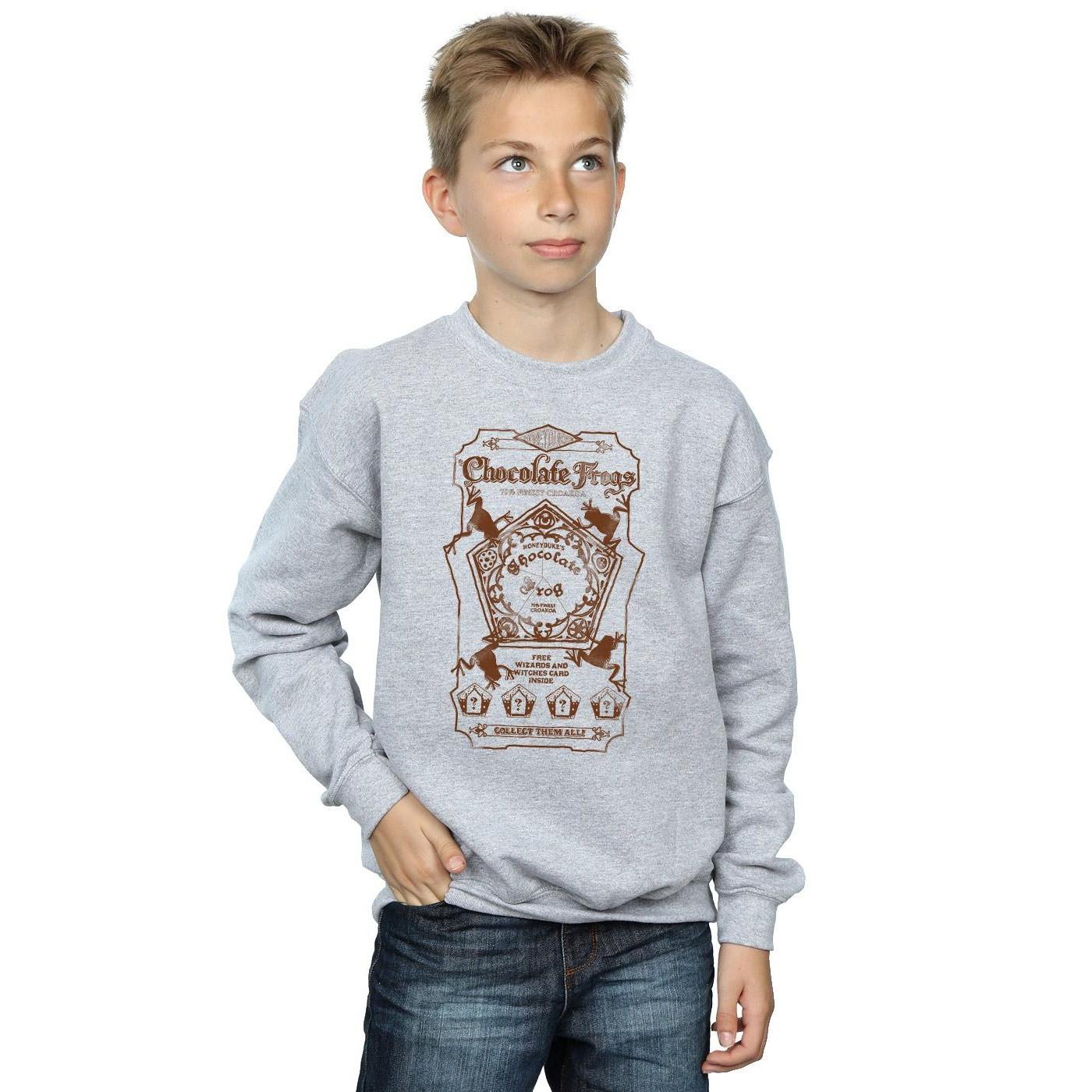 HARRY-POTTER  Sweatshirt 